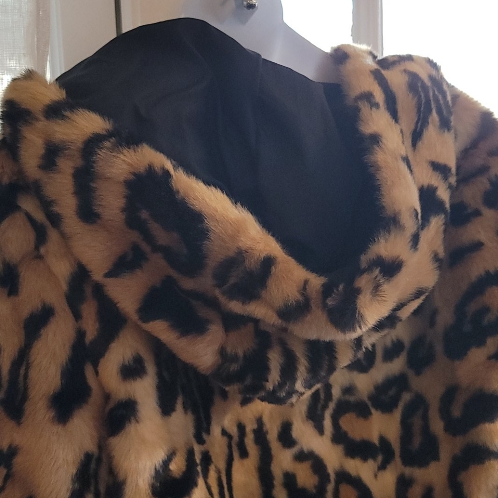 Jacket - Picture 8 of 9